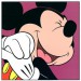 mickey_mouse_pink.jpg