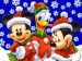 Mickey-Mouse-Christmas-christmas-2735426-1024-768.jpg